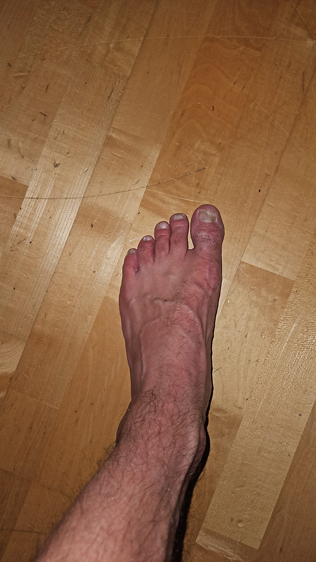 Zusatzfoto des Scans